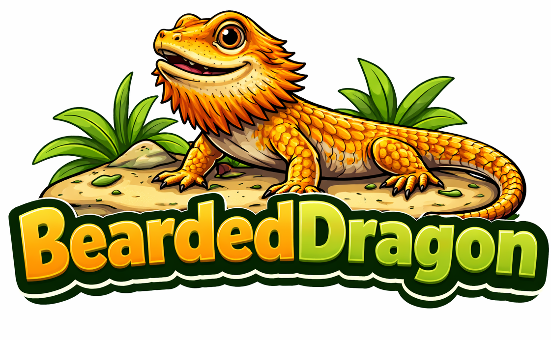 Bearded Dragon Home UK